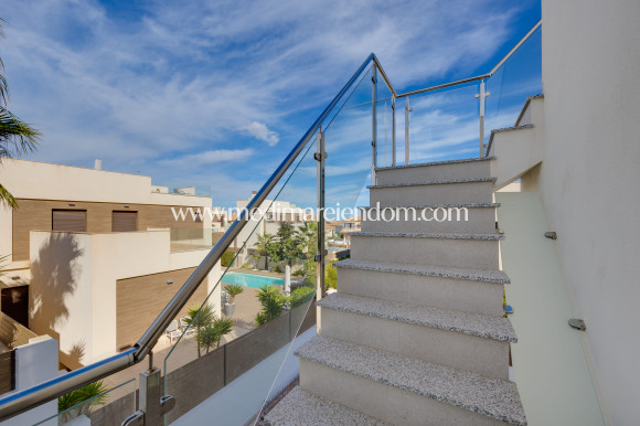 New build - Villa - Torrevieja
