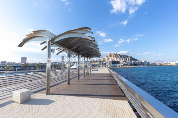 Nieuw gebouw - Appartement - Alicante - Centro