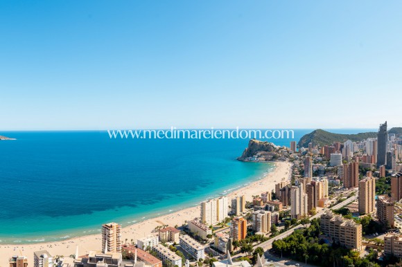 Nieuw gebouw - Appartement - Benidorm