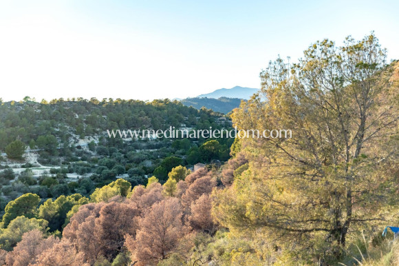 Nieuw gebouw - Appartement - Finestrat - Balcón De Finestrat