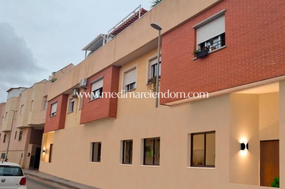 Nieuw gebouw - Appartement - Pilar de la Horadada