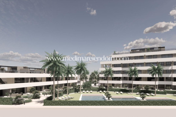 Nieuw gebouw - Appartement - Torre Pacheco - Santa Rosalía