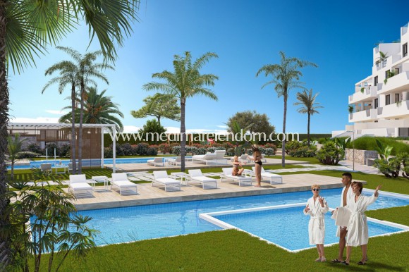 Nieuw gebouw - Appartement - Torre Pacheco - Santa Rosalía