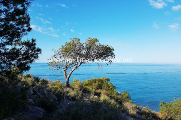 Nieuw gebouw - Appartement - Villajoyosa - Playa Les Torres