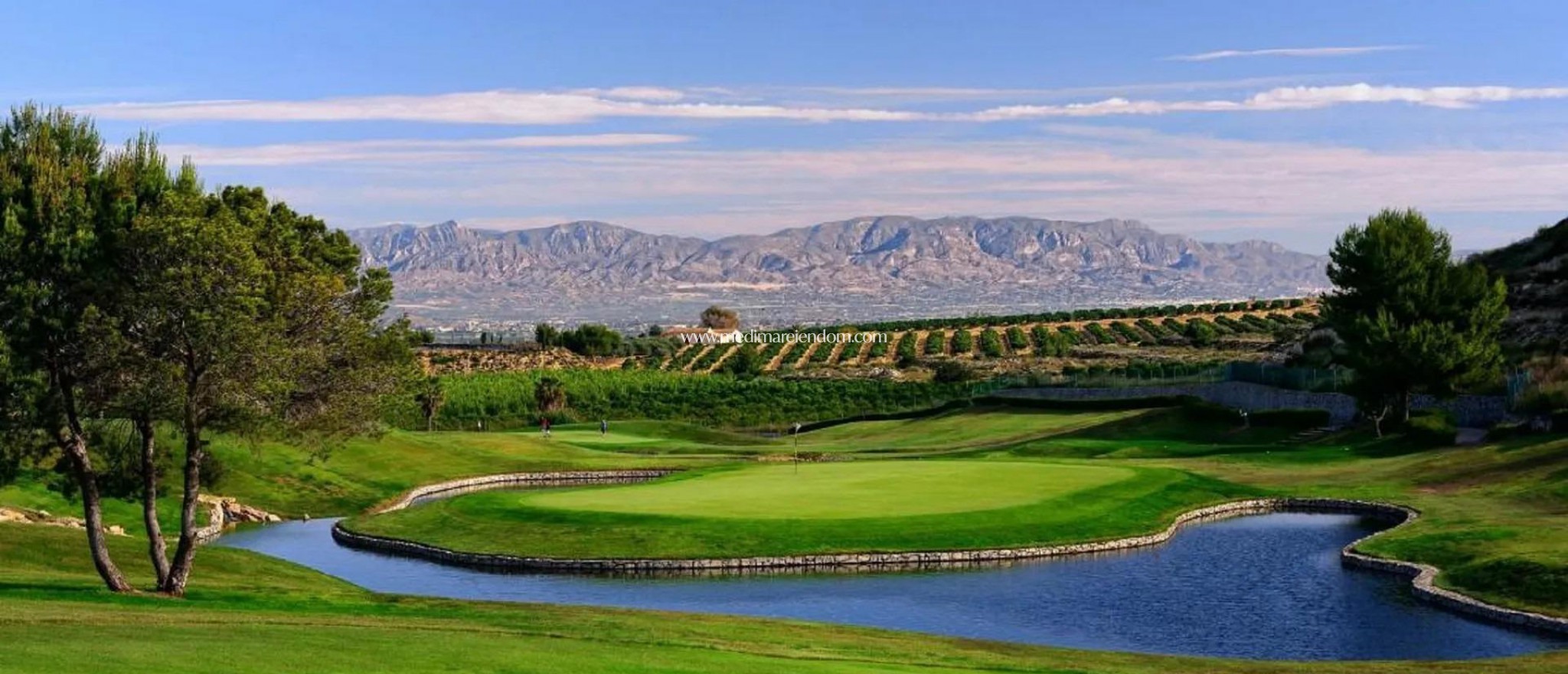 Nieuw gebouw - Bungalow - Algorfa - La Finca Golf