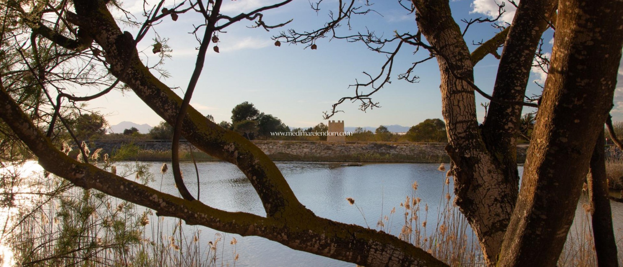 Nieuw gebouw - Bungalow - Guardamar del Segura - Guardamar Del Segura