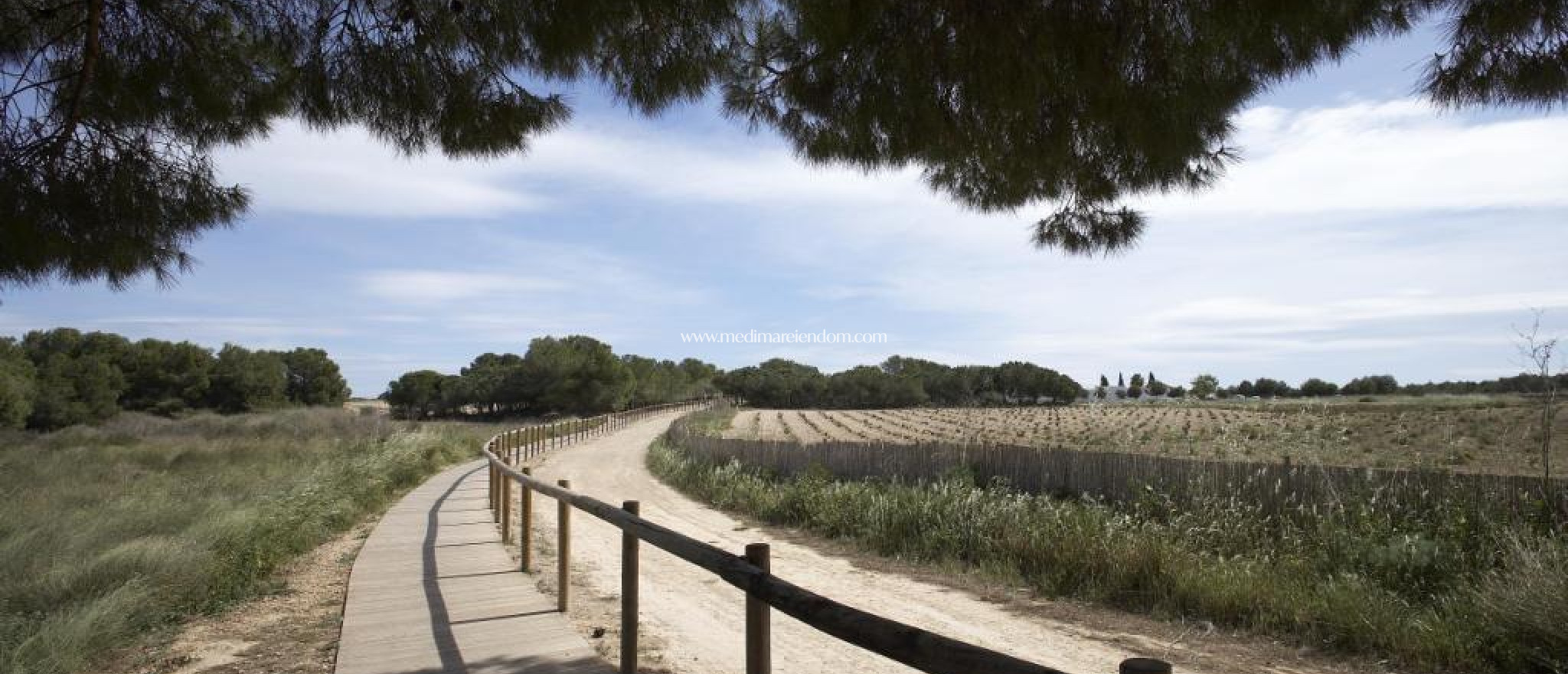 Nieuw gebouw - Bungalow - Torrevieja - Aguas Nuevas