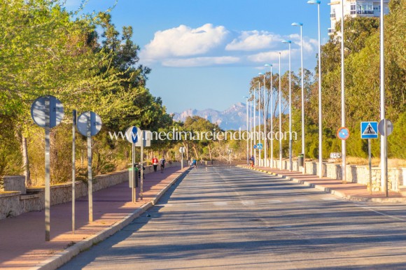 Nieuw gebouw - Geschakelde Woning - Guardamar del Segura - Guardamar Del Segura