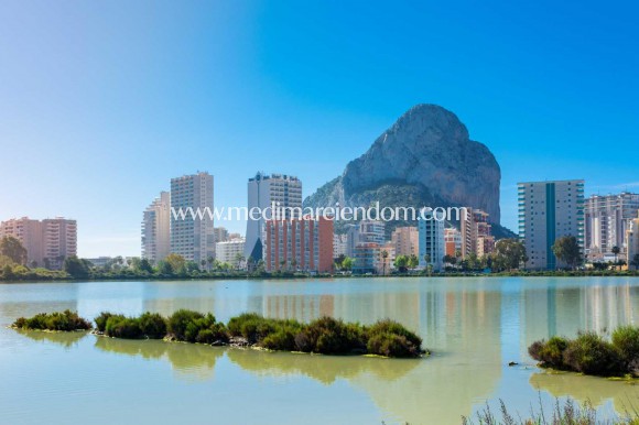 Nieuw gebouw - Penthouse - Calpe - Playa Arenal-bol