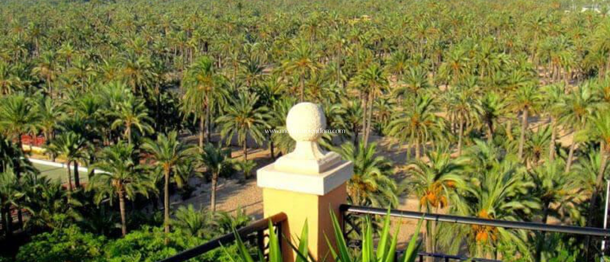 Nieuw gebouw - Penthouse - Elche - Corte Ingles