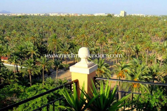 Nieuw gebouw - Penthouse - Elche - Corte Ingles