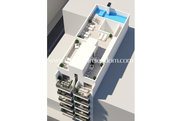 Nieuw gebouw - Penthouse - Torrevieja - Playa Del Cura