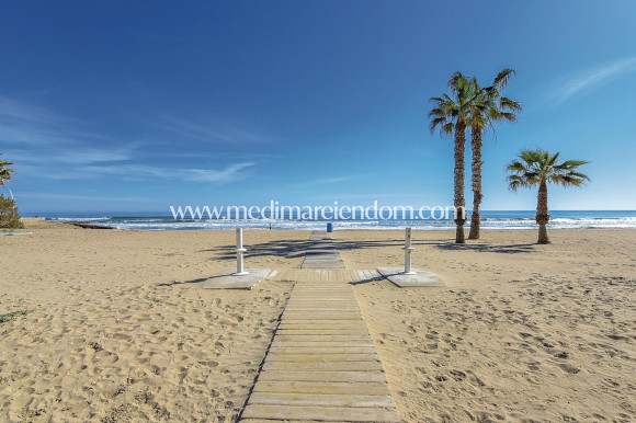 Nieuw gebouw - Penthouse - Torrevieja - Torreblanca