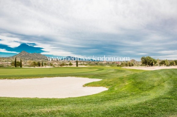 Nieuw gebouw - Villa - Banos y Mendigo - Altaona Golf