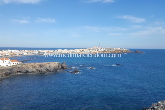 Nieuw gebouw - Villa - Cabo de Palos - Cala Medina