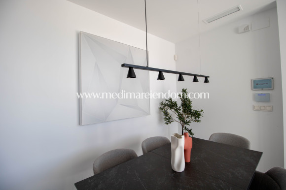 Nieuw gebouw - Villa - Finestrat