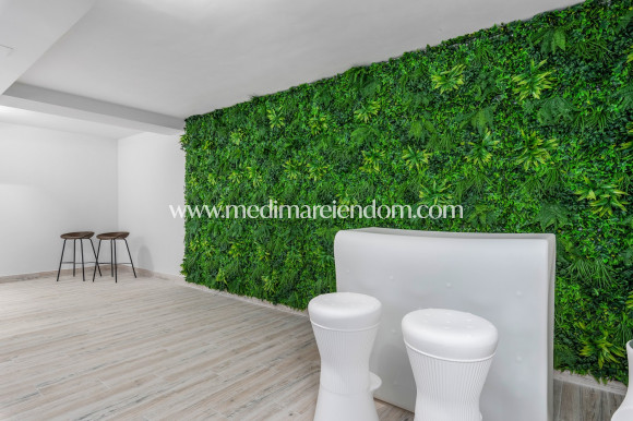 Nieuw gebouw - Villa - Los Montesinos - La Herrada