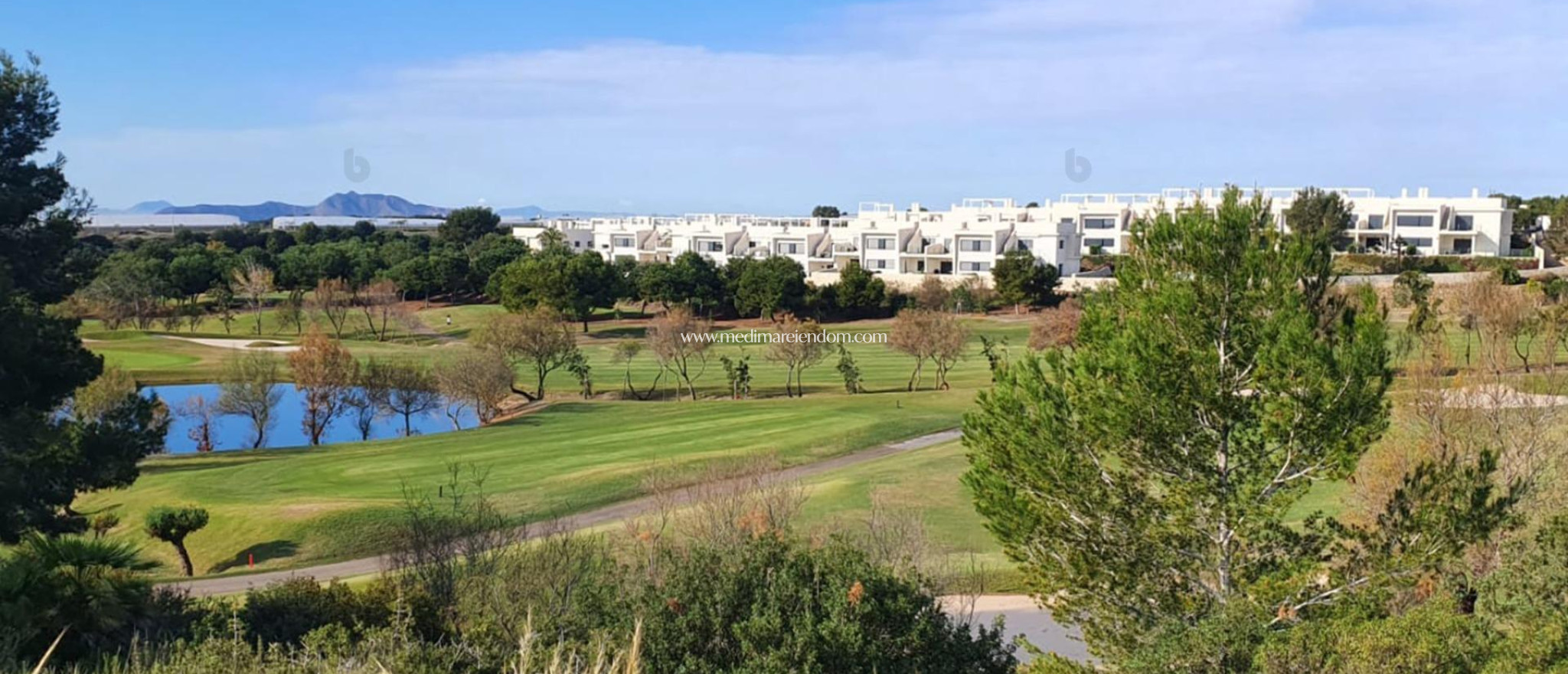 Nieuw gebouw - Villa - Pilar de la Horadada - Lo Romero Golf