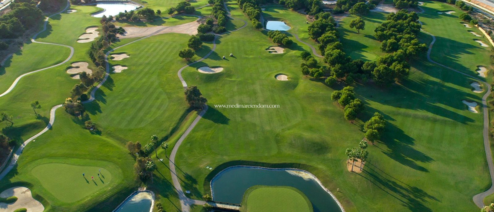 Nieuw gebouw - Villa - Pilar de la Horadada - Lo Romero Golf