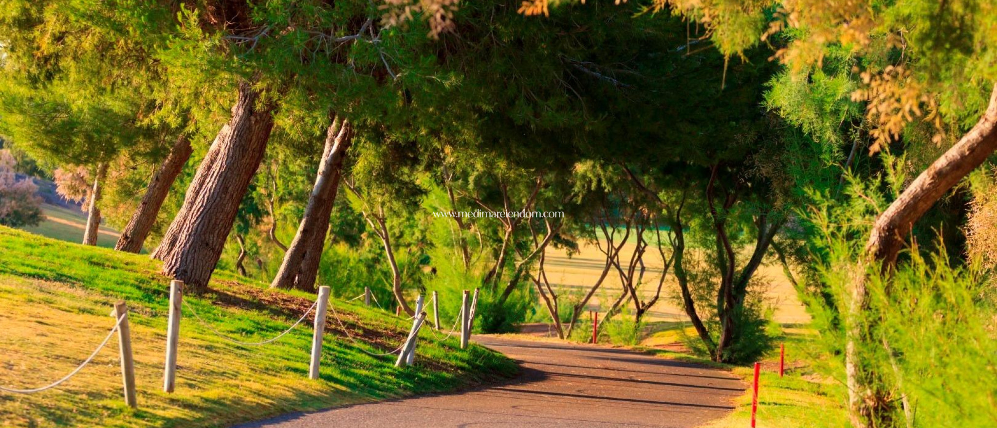 Nieuw gebouw - Villa - Pilar de la Horadada - Lo Romero Golf