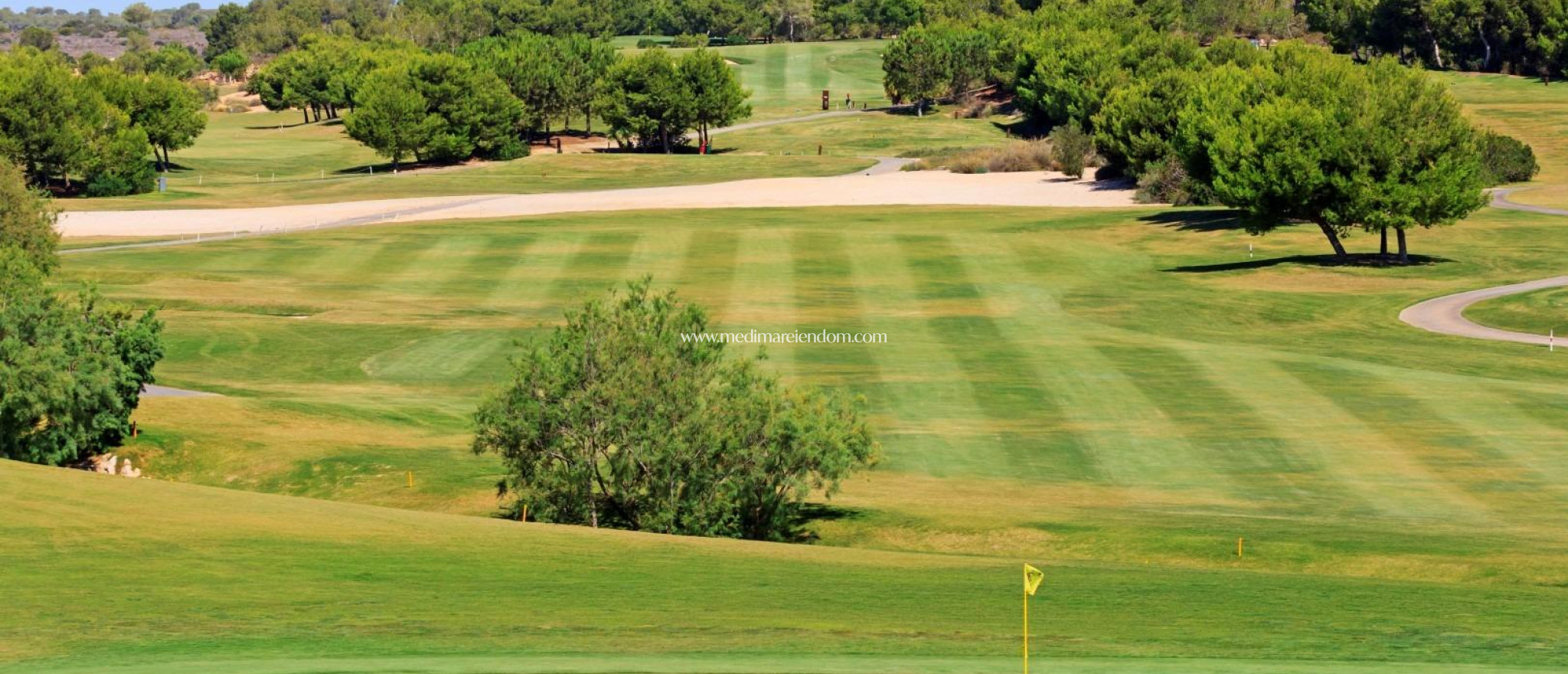 Nieuw gebouw - Villa - Pilar de la Horadada - Lo Romero Golf