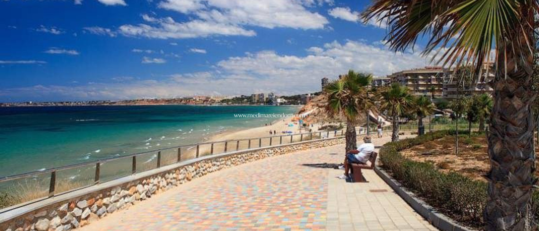 Nieuw gebouw - Villa - Pilar de la Horadada - Mil Palmeras