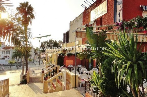 Nieuw gebouw - Villa - Pilar de la Horadada - Mil Palmeras