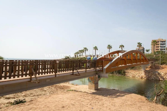 Nieuw gebouw - Villa - Pilar de la Horadada - Riomar