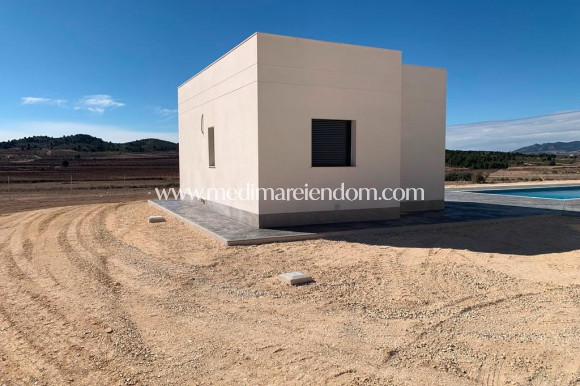 Nieuw gebouw - Villa - Pinoso - Camino Del Prado