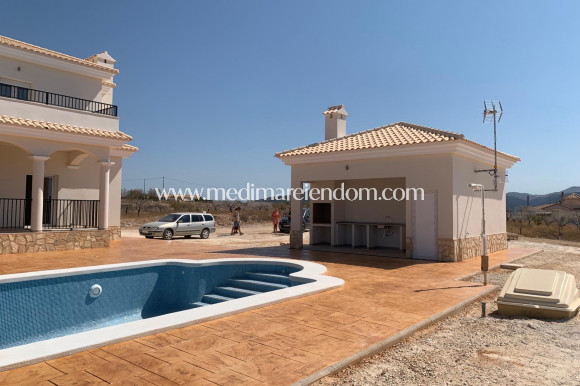 Nieuw gebouw - Villa - Pinoso - Camino Del Prado