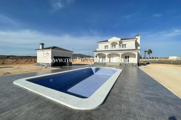 Nieuw gebouw - Villa - Pinoso - Camino Del Prado