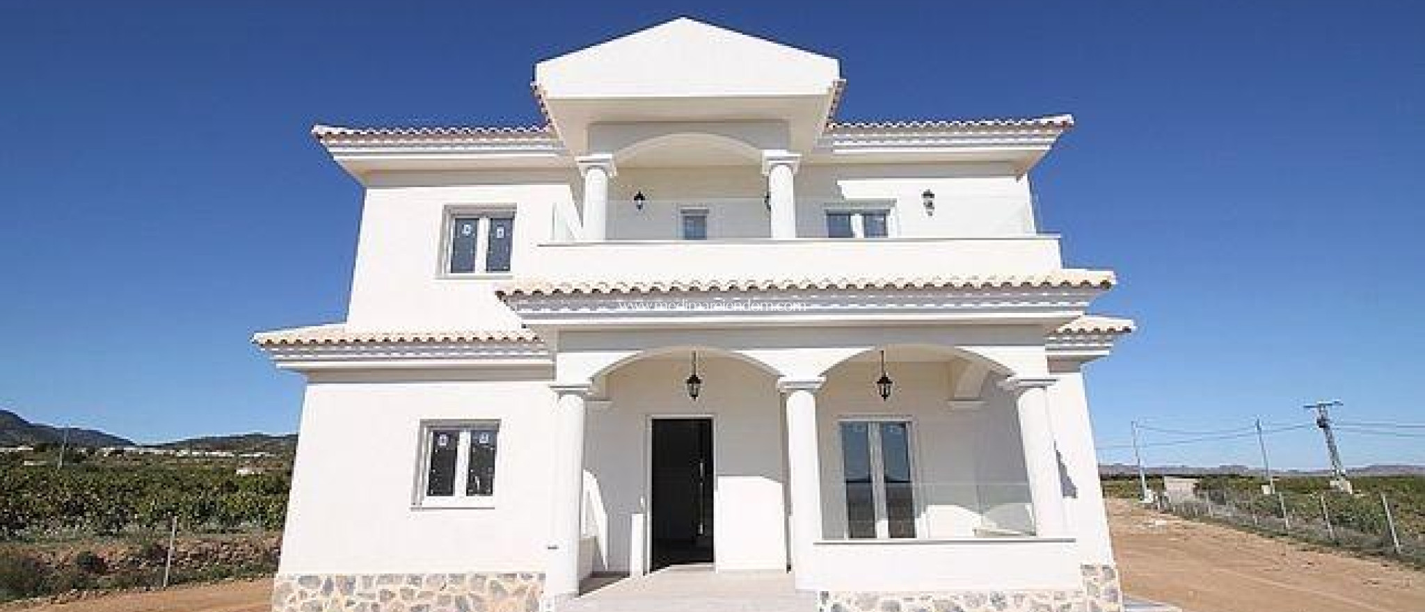 Nieuw gebouw - Villa - Pinoso - Camino Del Prado