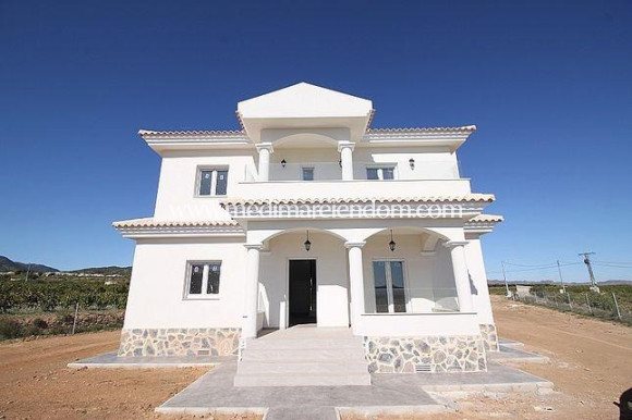 Nieuw gebouw - Villa - Pinoso - Camino Del Prado