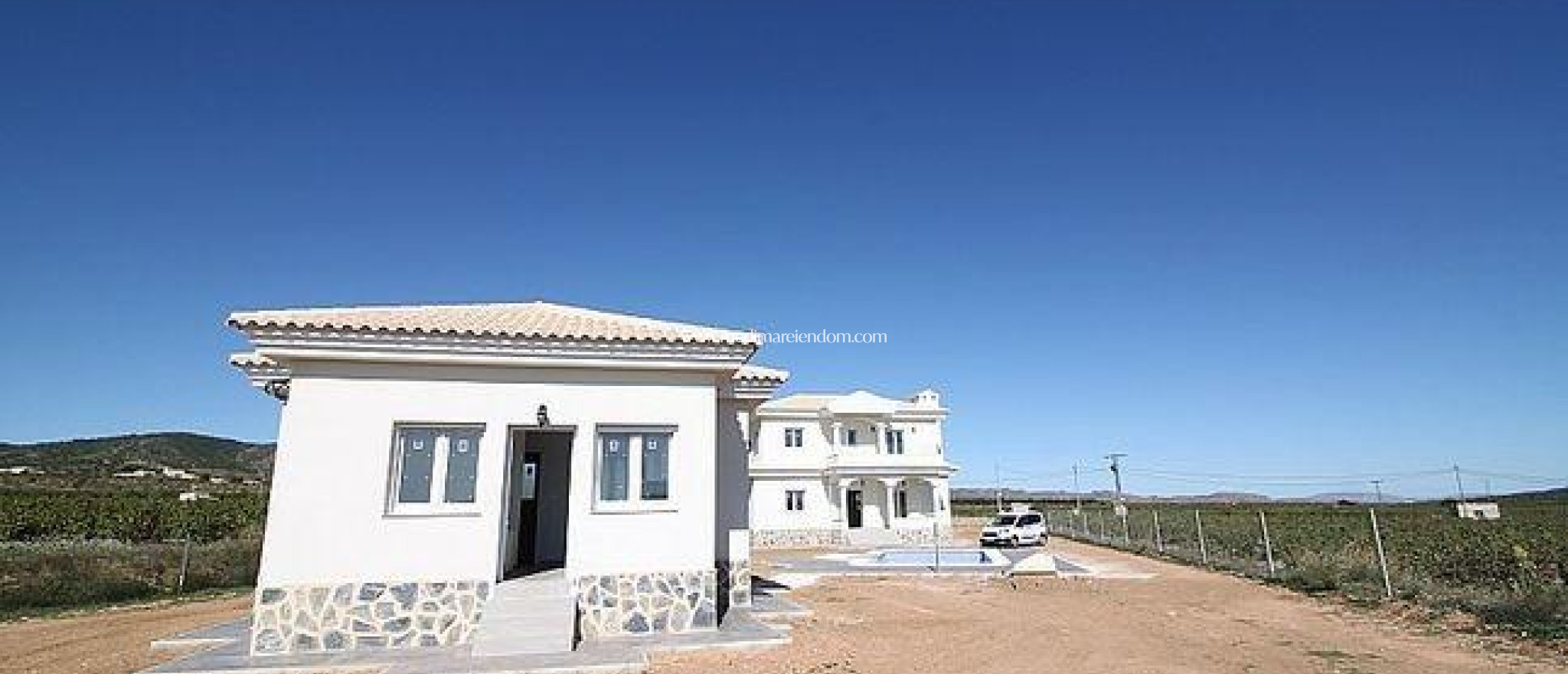 Nieuw gebouw - Villa - Pinoso - Camino Del Prado