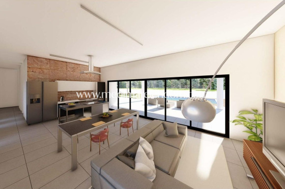 Nieuw gebouw - Villa - Pinoso - Campo