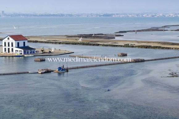 Nieuw gebouw - Villa - San Pedro del Pinatar - El Salero