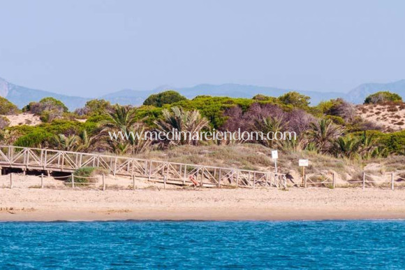 Nouvelle Construction - Appartement - Guardamar del Segura - Pueblo