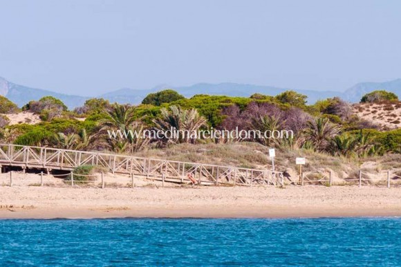 Nouvelle Construction - Appartement - Guardamar del Segura - Pueblo