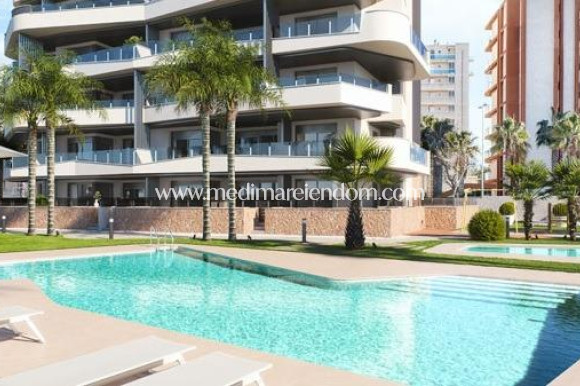 Nouvelle Construction - Appartement - Guardamar del Segura - Puerto