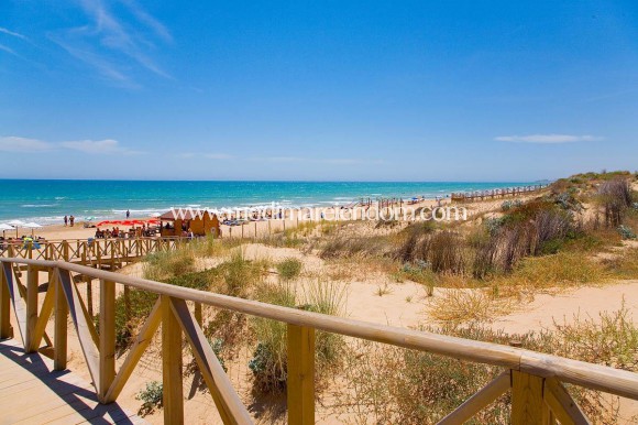 Nouvelle Construction - Appartement - Guardamar del Segura - Puerto