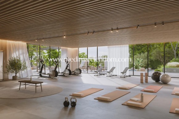 Nouvelle Construction - Appartement - La Gaspara