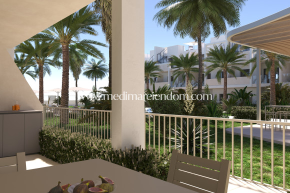 Nouvelle Construction - Appartement - San Cayetano