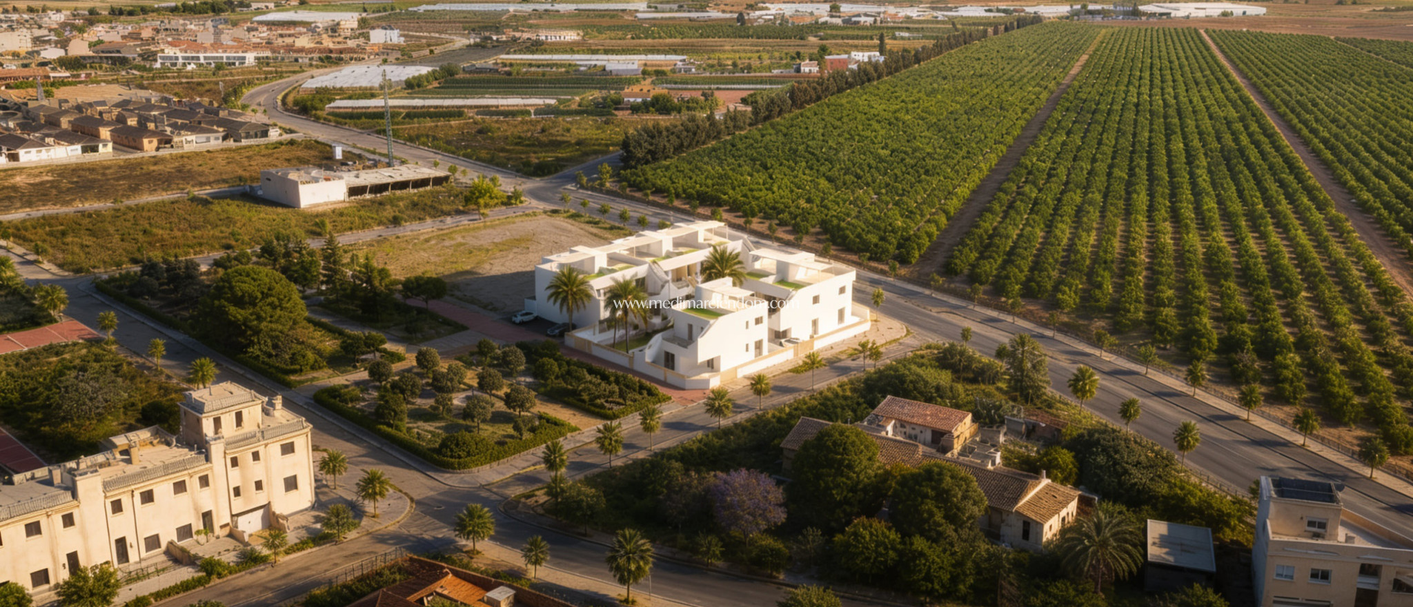 Nouvelle Construction - Bungalow de plain-pied - Pilar de la Horadada