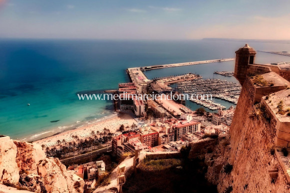 Nouvelle Construction - Penthouse - Alicante - Centro