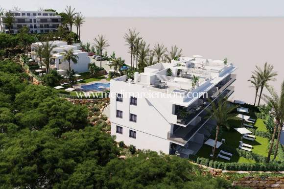 Nouvelle Construction - Penthouse - Finestrat