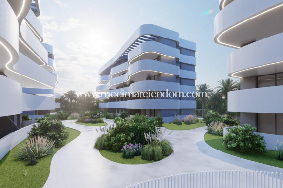 Nouvelle Construction - Penthouse - Guardamar del Segura - El Raso