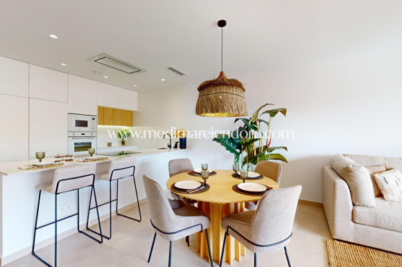 Nouvelle Construction - Penthouse - Guardamar del Segura - El Raso
