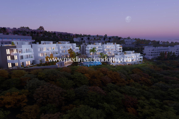 Nouvelle Construction - Penthouse - Manilva