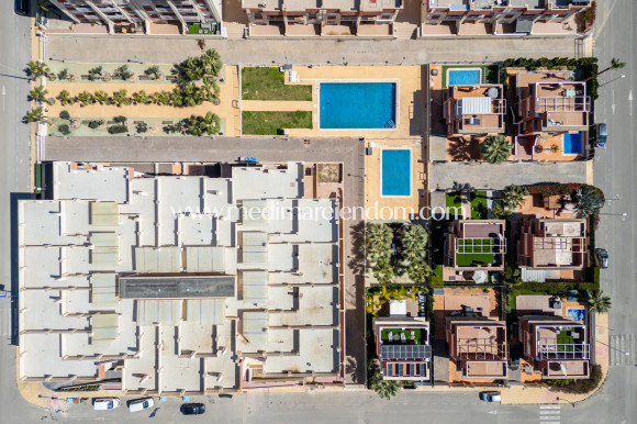 Nouvelle Construction - Penthouse - Orihuela Costa