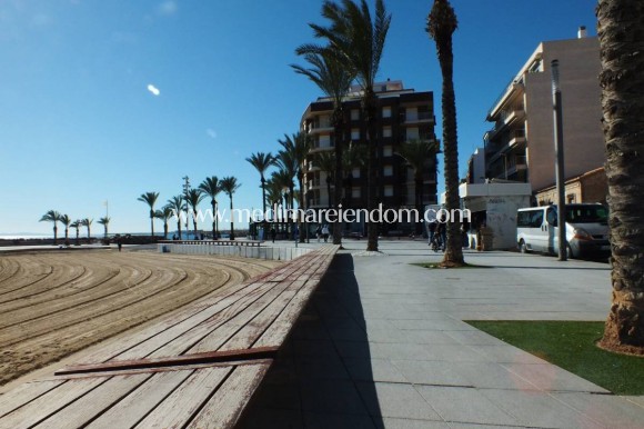 Nouvelle Construction - Penthouse - Torrevieja - Centro